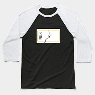 Knowledge Baseball T-Shirt